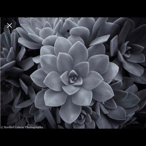 Meet your Posher, Teresa